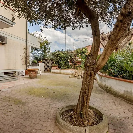 Guesthost - Tina! * 维亚雷焦